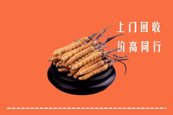 高价求购：邵阳市城步回收散虫草