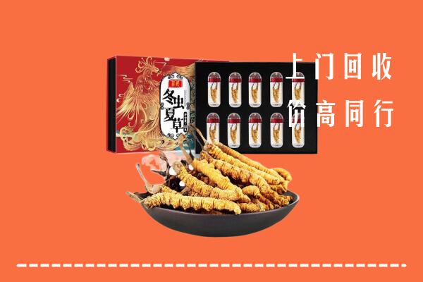 邵阳市城步回收虫草